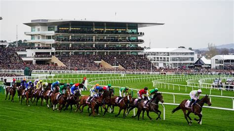 cheltenham races tips|Cheltenham Festival Tips, Race Cards, Results and Free Bets.